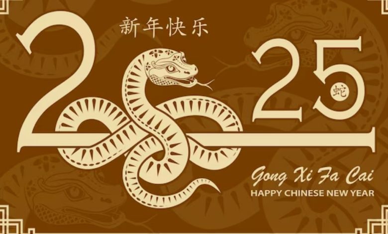 Astro chinese new year 2025