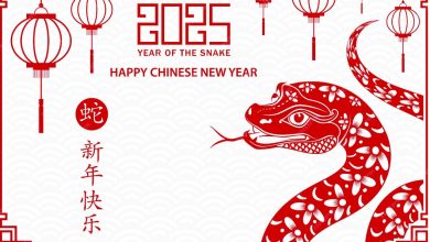 Chinese lunar new year 2025 animal