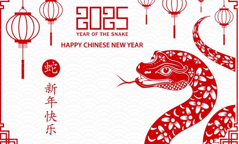 Chinese lunar new year 2025 animal