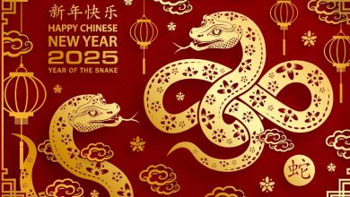 Chinese new year 2025 animal color