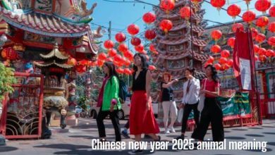 Chinese new year 2025 animal meaning