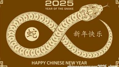 Chinese new year 2025 animal snake