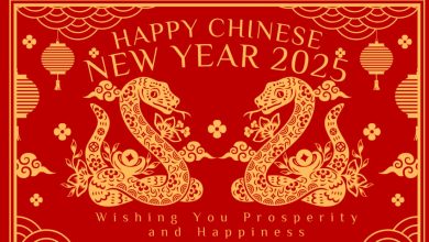 Chinese new year 2025 background