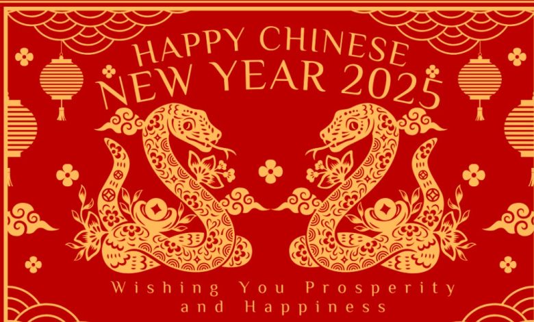 Chinese new year 2025 background