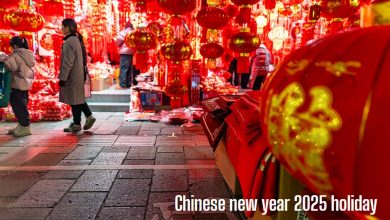 Chinese new year 2025 holiday