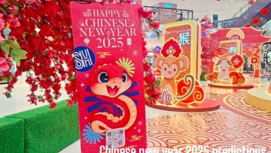 Chinese new year 2025 predictions