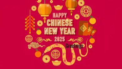 Happy Chinese New Year 2025 Greetings