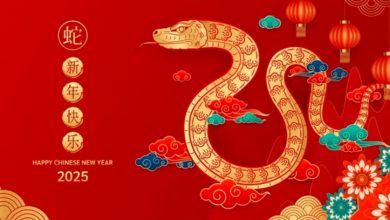 Happy Chinese New Year 2025 Wishes