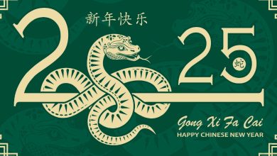 Happy chinese new year 2025 animated