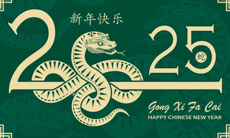 Happy chinese new year 2025 animated