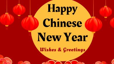 Happy chinese new year 2025 greetings in english