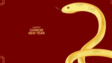 Happy chinese new year 2025 poster