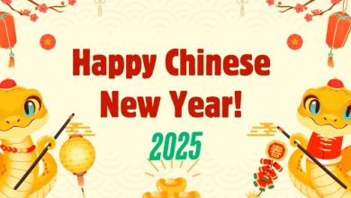 Happy chinese new year 2025 quotes